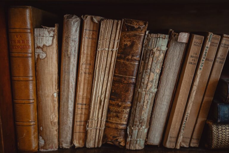 A Box of Postcards from People I Barely Remember - books & paper