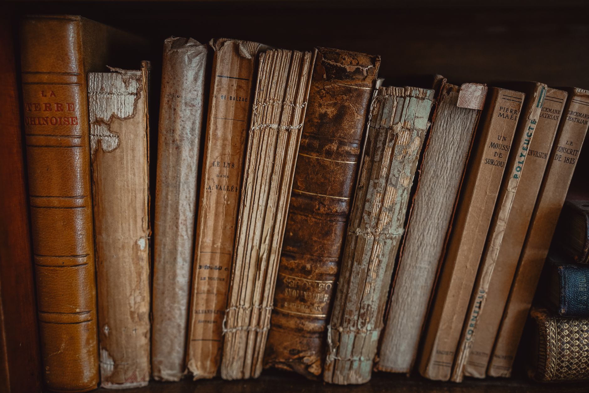 A Box of Postcards from People I Barely Remember - books & paper